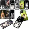 Чехол для Apple iPhone 16 15 14 Plus 13 12 Mini 17 Pro Max + ProMax 16E Air 16+ 15+ Coque Чехол для телефона Котенок Кошка