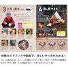 Gakken Science Outdoor Bonfire Challenge (Ages 6 and up) Q750896