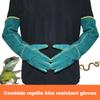Anti-Bite Safety Gloves Ultra Long Leather Green Pets Grip Biting Protective Gloves for Catch Dog