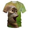 Summer Short Sleeved T-shirt for Men 3D Digital Printed Animal Monkey Round Neck Loose Men Fat Half Sleeve Bottom Shirt Summer