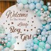 Арка из шаров «Добро пожаловать, девочка или мальчик» Фон для вечеринки с декором из английских букв