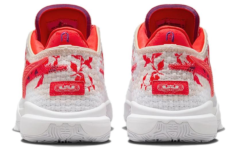Mimi Plange X Nike LeBron 20 Premium EP "Ceremony" FJ0724-801