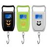 Portable Electronic Gourd Scale: Compact 50kg Luggage & Fishing Hook Scale