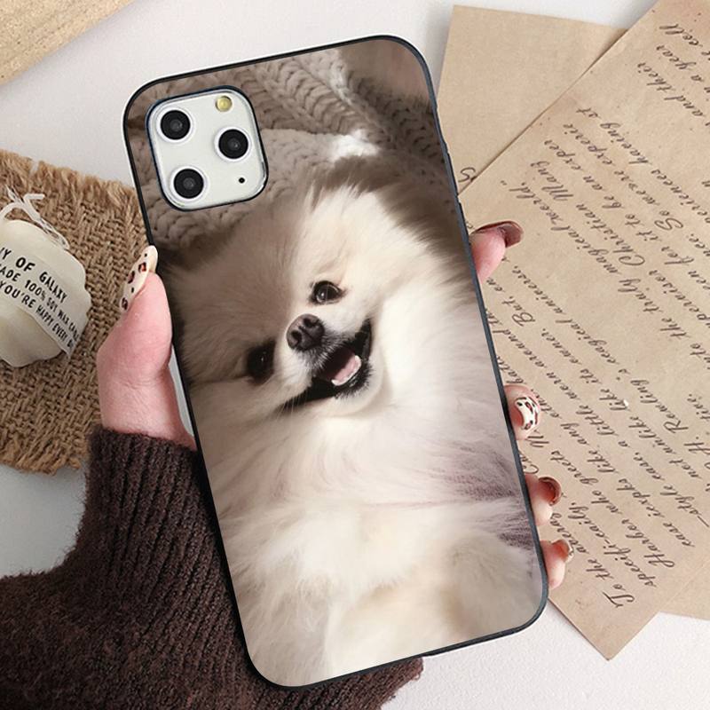 Чехол для телефона MaiYaCa Pomeranian dogs для iPhone 11 12 13 mini pro XS MAX 8 7 6 6S Plus X 5S SE 2020 XR