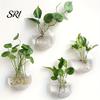 Decorative Wall Planter Hanging Glass Clear Flower Vase for Hydroponics Plants Greenery Home Decor Mount Terrarium Propagation Station Bathroom Office