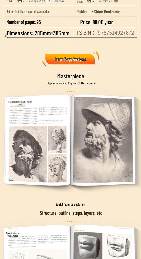 Understanding Sketch Plaster Casts: 8K Exam Art Guide & Album