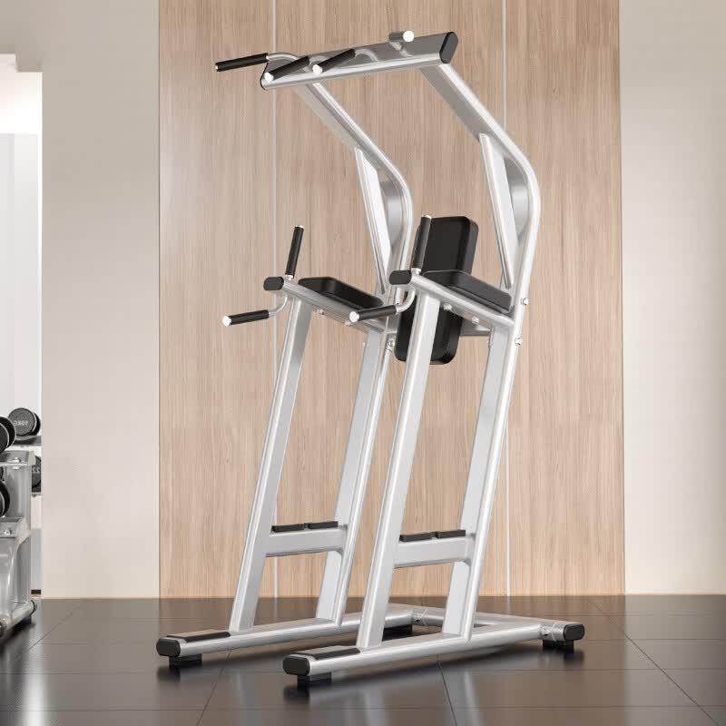 Yueji Tiger Home Pull-up and Dip Station