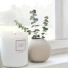 Cooee Beautiful Ceramic Decorative Vases with Unique Quality for Home Decor, Center Table, Flowers Pot,Bedroom Side Corners,Living Room Decoration