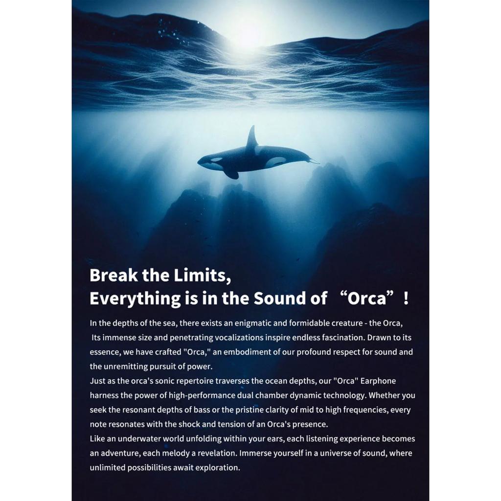 TRN ORCA Dynamic In Ear Earphones High Performance Dynamic Driver IEMs Earbuds with  Detachable Cable Tuning Switch  Headset