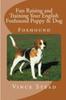 Книга Fun Raising And Training Your English Foxhound Puppy Dog by Vince Stead - Paperback