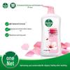 Dettol Healthy Shower Gel - Moisturizing Care
