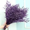 Букет из стабилизированной натуральной травы Любовника, 17 дюймов, свежая Каспия Белидифолиум, Морская лаванда, Цветы гипсофилы, для свадьбы, дня рождения, домашнего декора,