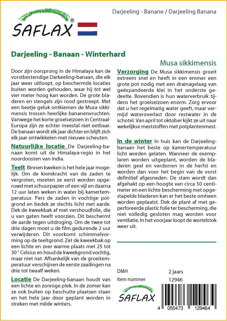 SAFLAX Банан Дарджилинг - 5 семян - Musa sikkimensis