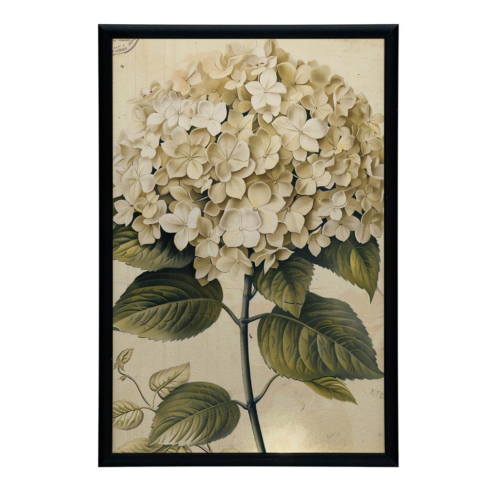 Klasyczna Hortensja Klasyczna Hortensja, 50X70 Cm, Bez Ramy, Papier Matowy 230 Gsm