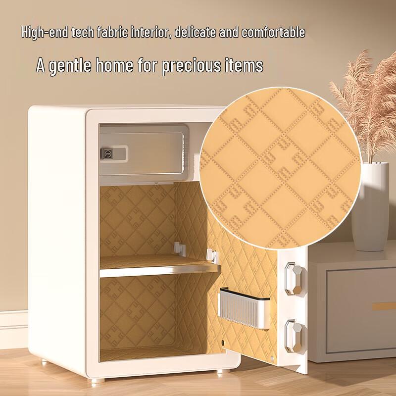 Deli Home Office Fingerprint Password Safe
