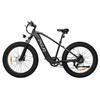 Electric BIke Pixar Space 26" 500W Motor 48V 20AH Max Range 100Km 7 Speed Top Speed 32Km/h Black Or Grey