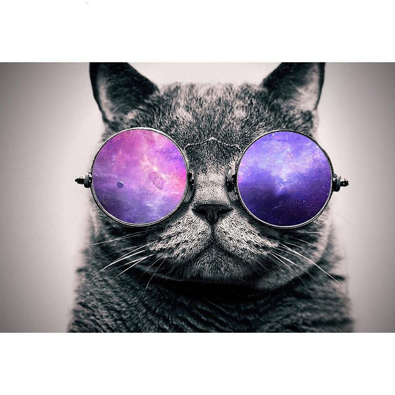 Алмазная картина, вышивка крестом, Кот в очках, круглая Алмазная мозаика, 5D DIY