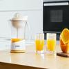 Citrus Juicer VitaPress