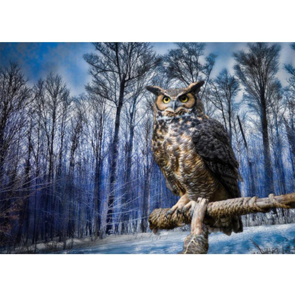 5D DIY Diamond Painting Animal Cat Eagle Full Diamond Embroidery Rhinestone Home Decor Gift Mosaic Art Picture Cross Stitch Kit