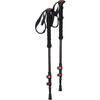 Campus Stetin Trekking Poles, Unisex Black Trekking Poles