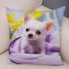 Cute Pet Animal Pillowcase Decorative Cute Puppy Chihuahua Pillowcase Soft Plush Cushion Cover for Car Sofa Home 45x45cm