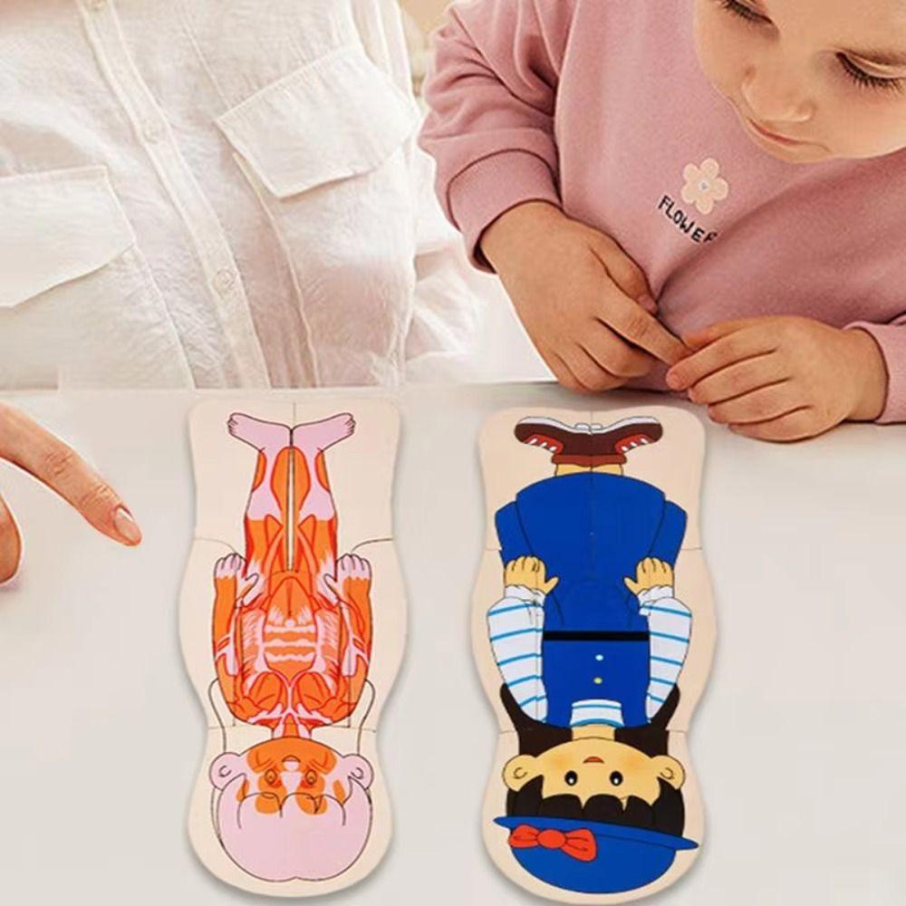Multi-Layer Wooden Human Body Puzzle Educational Anatomy Jigsaw Cognitive Teaching Aids