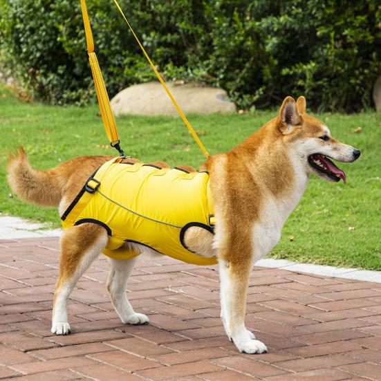 Adjustable Dog Lift Harness Comfortable Dog Lift Belt Breathable Support Sling for Old Disabled Joint Injuries Arthritis Dog Walk