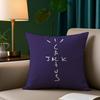 Cool CCactus jack Pillow Case Short Plush Print Cushion Cover Square Throw Pillow Covers Sofa Home Decor