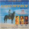 CD VARIOUS - The Best Of Country Music Volume On FATCD4111 Fat Boy Records 1994 Europe Country Used