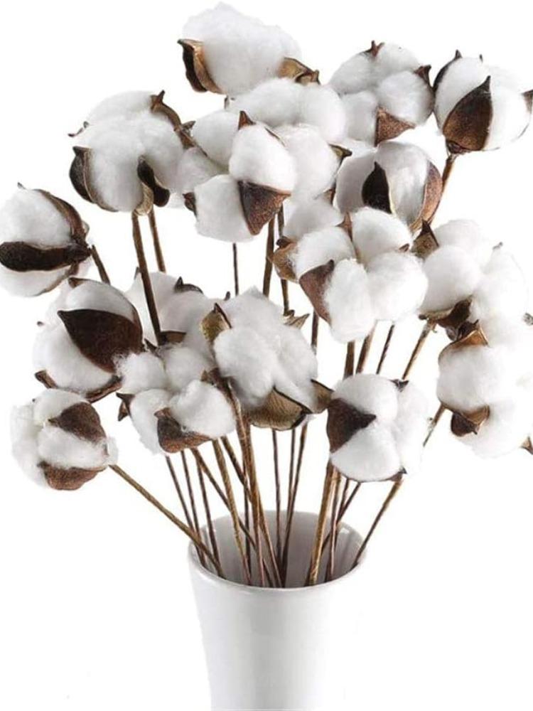 20 шт. хлопковых стеблей, натуральные хлопковые цветы, сушеные хлопковые палочки, ветка для вышивки, наполнитель для фермерского дома, мебель, свадебное украшение для дома своими руками