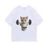 Summer Funny Gym Sam Sulek Cat Graphic Print T-shirts Men Women Cute Fitness Pump Cover Tshirt Woman Meme T Shirt Short Sleeve