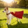 Superhero Dog Costume Set Superhero Cape with Collar ID Tag Pets Cosplay Outfit for Dogs Cats Fun Role Play Costume Party