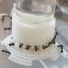 Transparent Durable Pet Accessories Insect Water Feeder Honey Water Dispenser Ant Feeding Tower