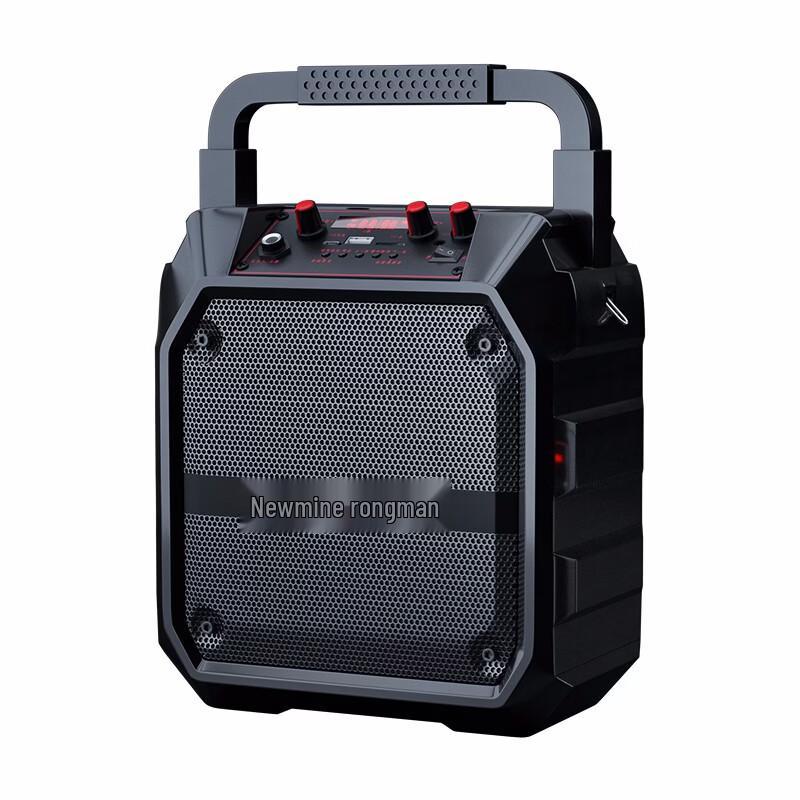 Портативная Bluetooth-колонка Newman K97 с радио и караоке, штекер CN (адаптер в комплекте)