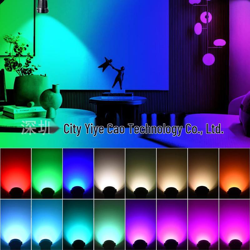 Газонный светильник RGBW: Управляемый пультом штекерный светильник для дворика, ландшафтной подсветки и настенной подсветки.