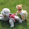 Reusable Dog Sanitary Pants Soft Dogs Menstruation Pants Female Dogs Diaper Pants  For Dogs