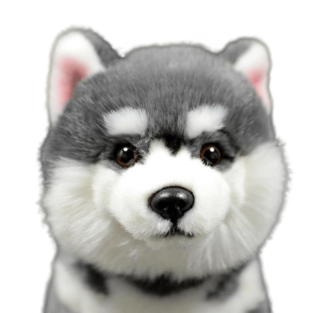Lilizzhoumax Плюшевая игрушка Собака Аляски, Реалистичная мягкая собака, Супермягкая плюшевая игрушка для девочек, детей, домашнего декора (Серый, 11 дюймов), Средняя