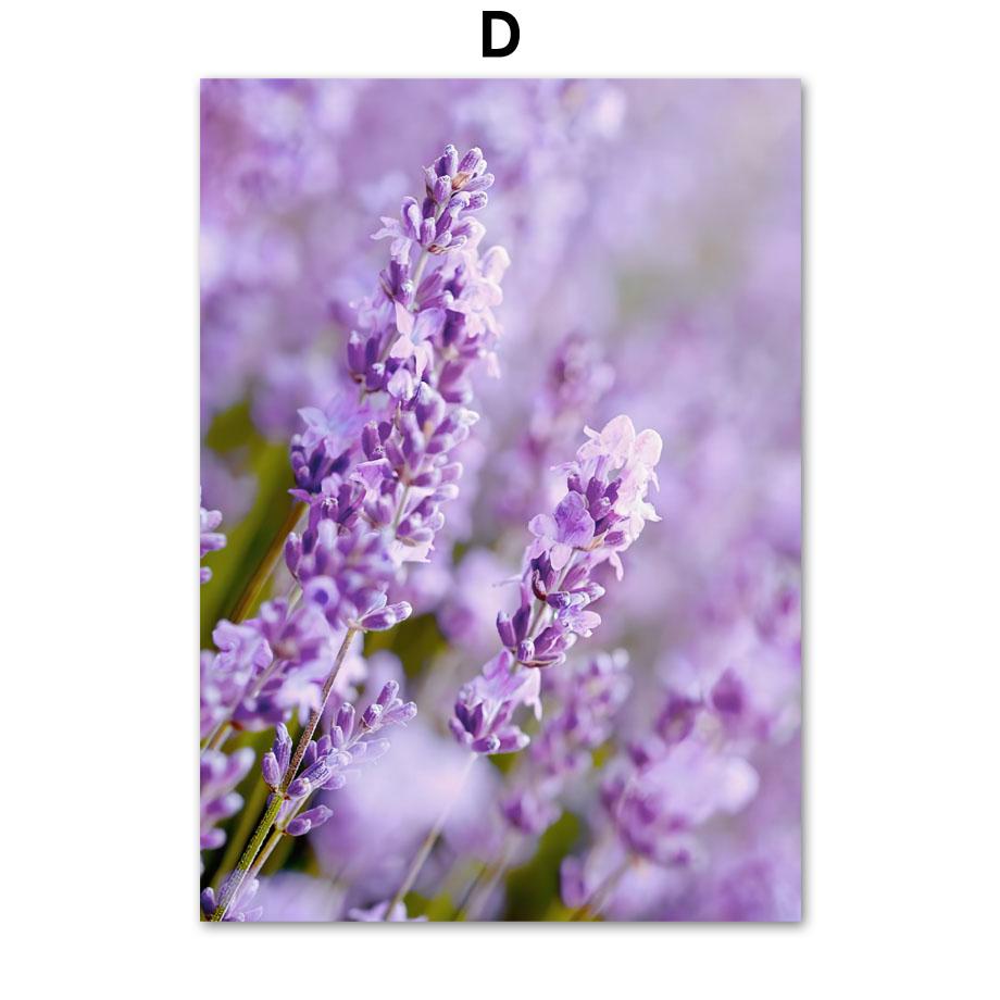 Лавандово-фиолетовый пляжный пейзаж, природные постеры и принты, картины на холсте, настенные художественные картины для гостиной, домашний декор