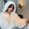 Autumn and Winter New Hooded Imitation Fox Fur Coat Women's Loose and Thin Long Fur Coat Fashion