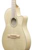 Ibanez Ibanez nylon strings / GA39TCE-NTF (Natural Flat) [elegat]