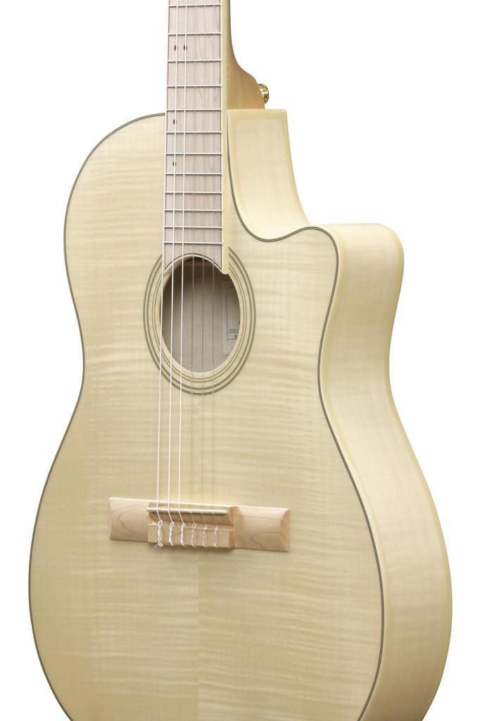Ibanez Ibanez nylon strings / GA39TCE-NTF (Natural Flat) [elegat]
