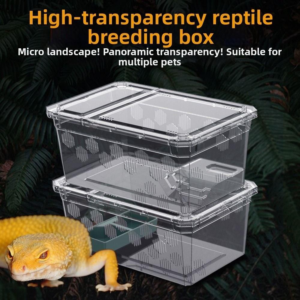 Transparent Reptile Tank Plastic Reptile Transport Container Reptile Pet Supplies