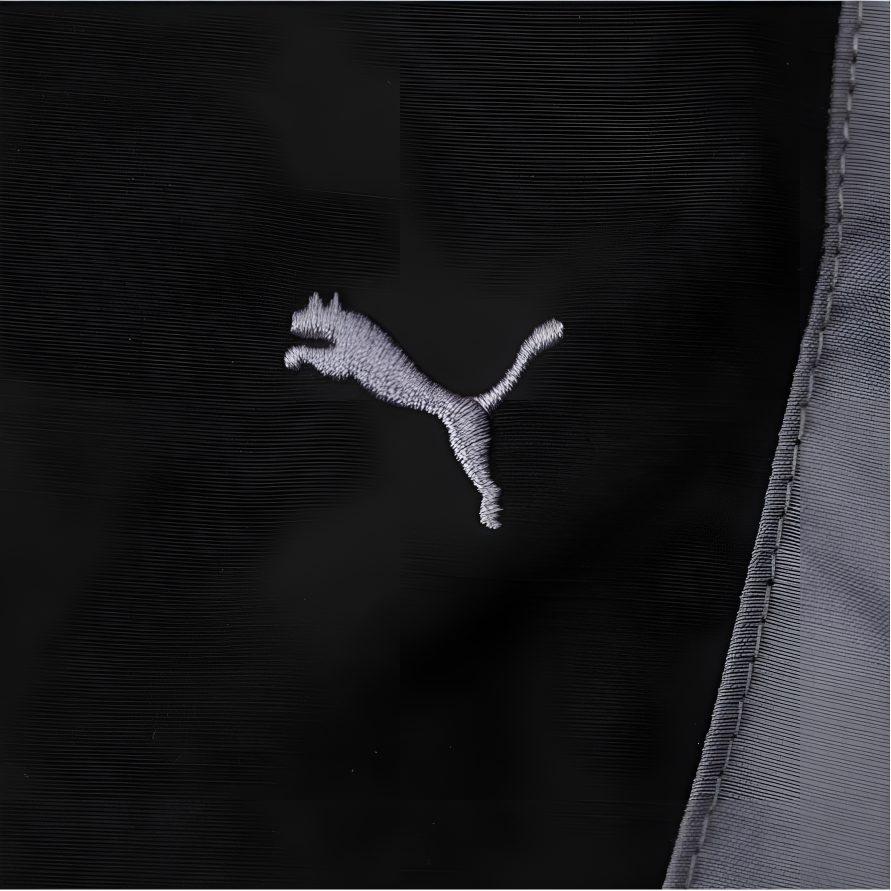 Puma RACING CARNIVAL Повседневные брюки Унисекс Черный 631342-01
