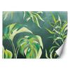 Wallpaper Monstera Leaves