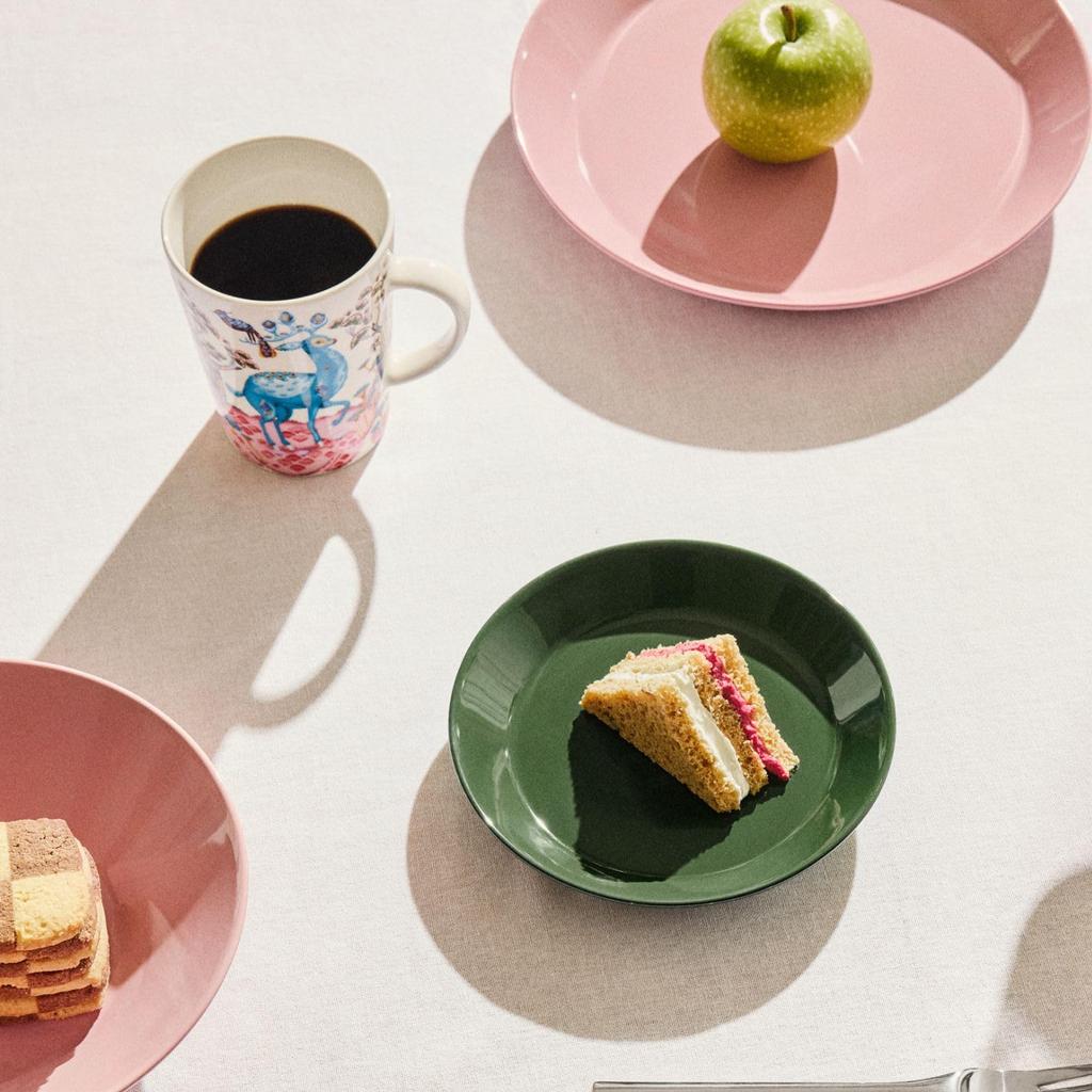 [Оригинальный импортный товар] Тарелка Iittala Teema 17 см Охотничий зеленый 1084113