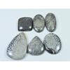 232Cts. Natural Black Fossil Coral Mix Cabochon Loose Gemstone 06 Pcs Lot C-630