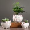 1 шт., украшение в виде свиньи, вырезанный цветочный горшок, S/M/L, цветочный горшок, садовые принадлежности, горшок для суккулентных растений, керамический