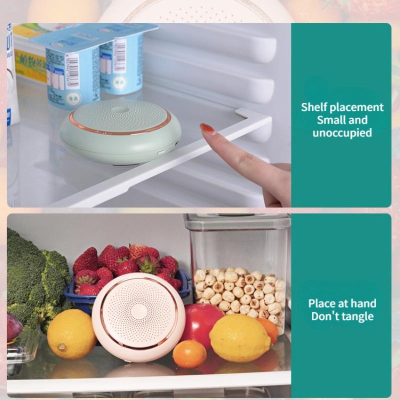 Холодильник Дезодоратор Очистка воздуха Шкаф для обуви Озоновый стерилизатор Автомобильный дом двойного назначения