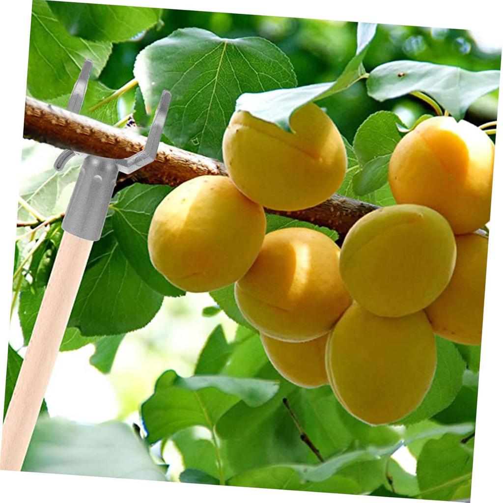 Набор из 6 алюминиевых колышков для деревьев, держатель для растений, подходит для поддержки растений и стабилизации ветвей в садах и фруктовых садах