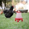 Removable Chicken Feeder Stand Legs Feeding Bucket Chick Feeder Kits Poultry Feeder  Chick